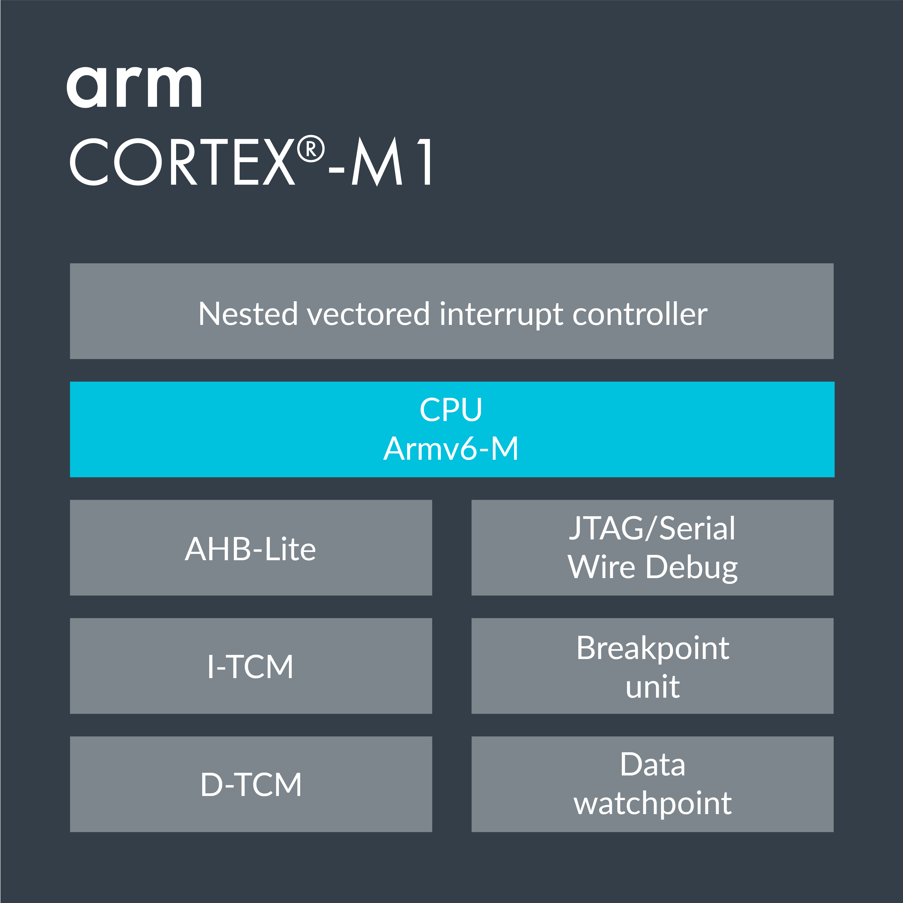 Arm Cortex M Family Introduction