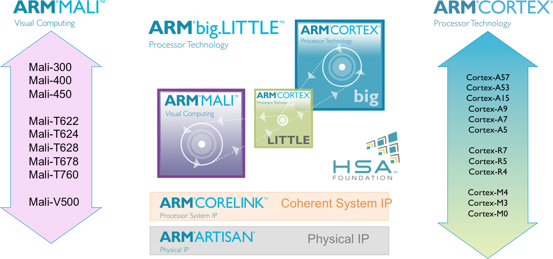 Arm Community